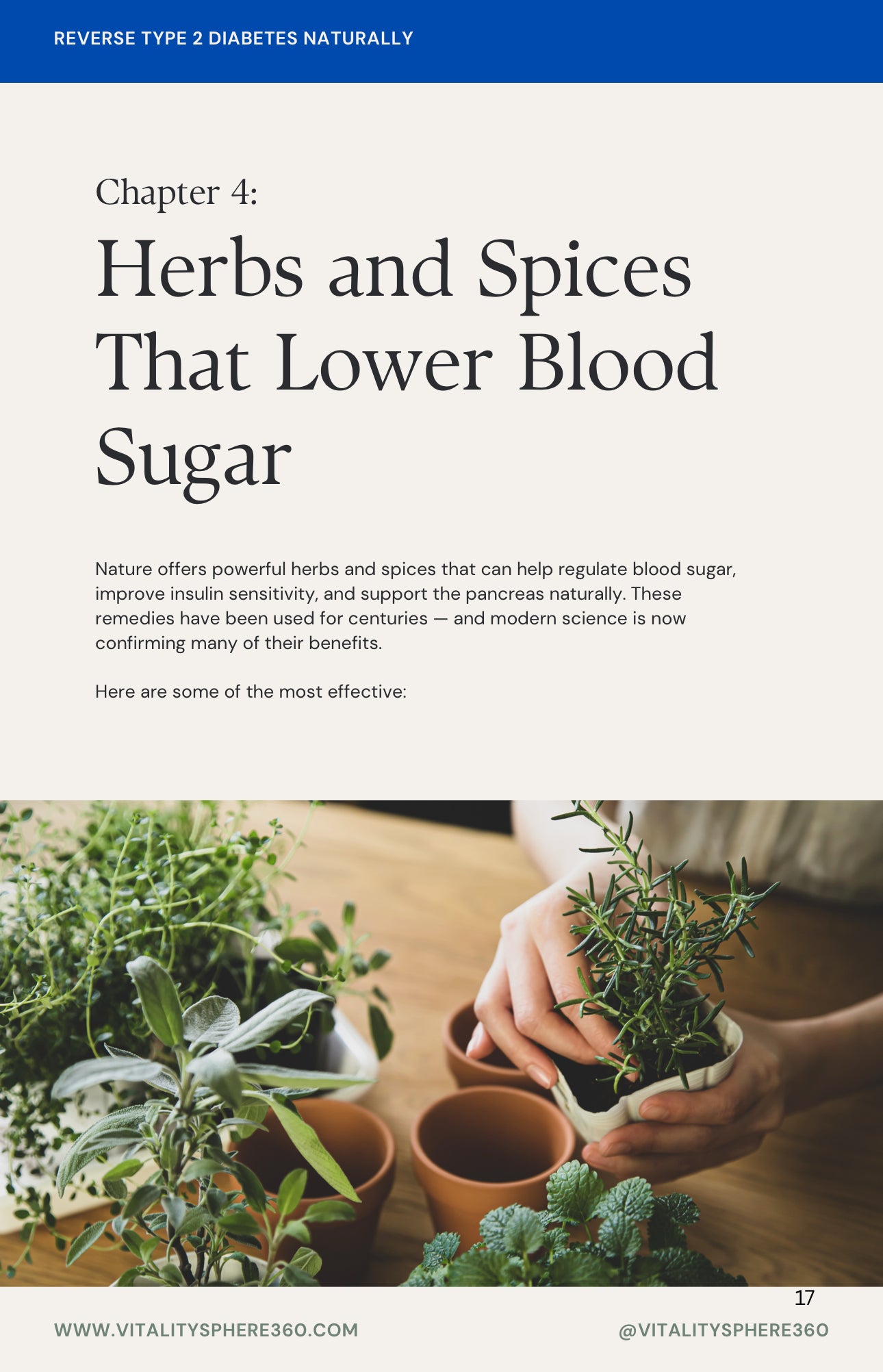 Reverse Type 2 Diabetes Naturally: Foods, Herbs, and Lifestyle That Heal (Ebook)