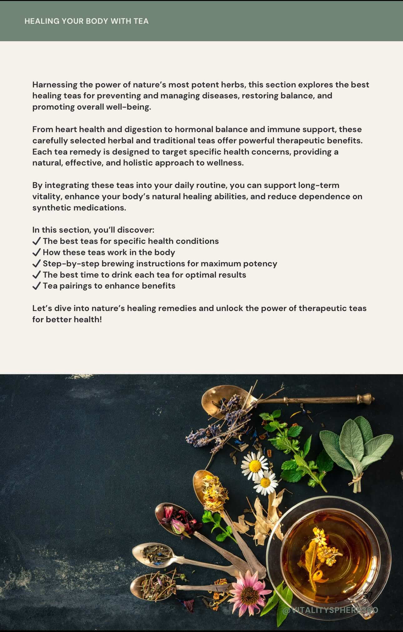 Colorful herbs and tea ingredients – visual from eBook